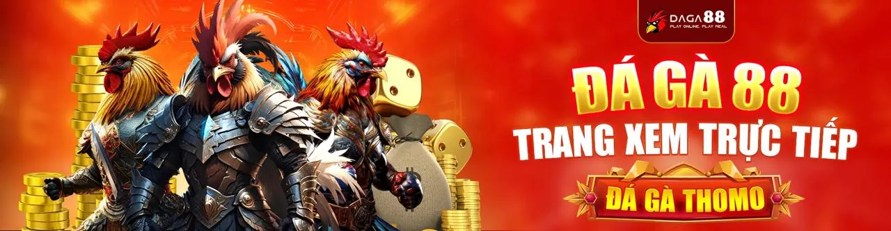Đá gà i9bet141 link hôm nay - Sân đấu trực tuyến kịch tính với gà chọi dũng mãnh